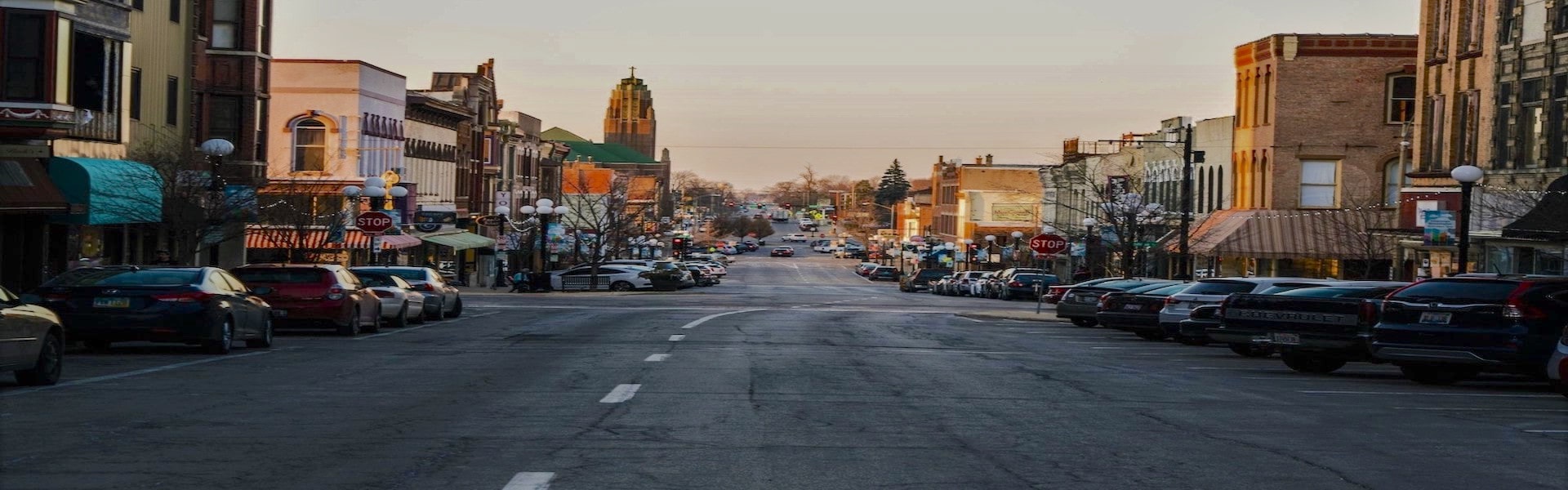 Wildlife Removal in Bloomington Critter Control